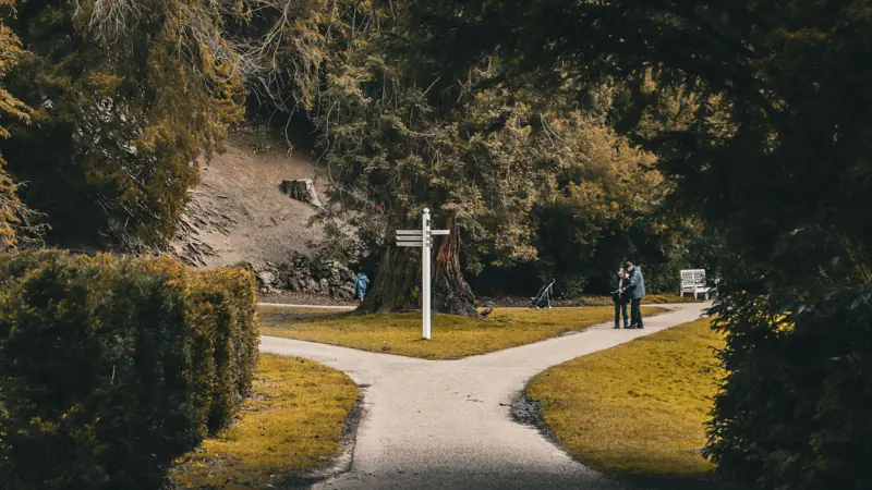 Path splitting in two directions in a park, representing loan choices